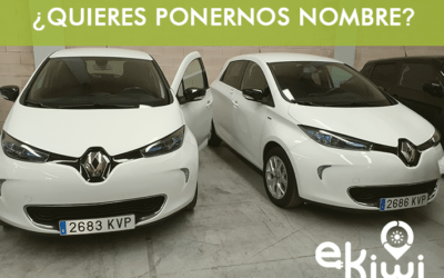 ¿Cómo llamamos a los gemelos?