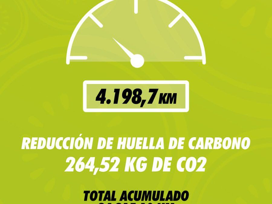 Deja tu coche, coge un ekiwi y empieza a reducir tu huella de carbono